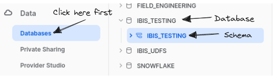 Snowflake Database