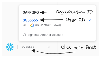 Snowflake Organization and User ID
